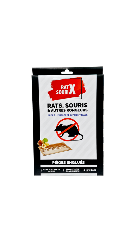 Grande Plaque de Glu Rats & Souris - Prêt à l'emploi - x2 Pièges 19x28 cm